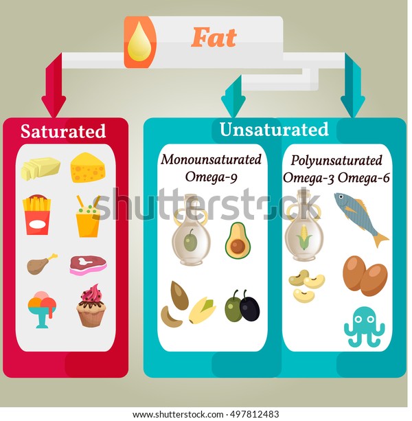 Vector Infographic:  Proper nutrition  Fat Saturated\
Unsaturated 