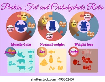 Vector Infographic: Protein Fat Carbs Ratio Muscle Gain Normal Weight Weight Loss 