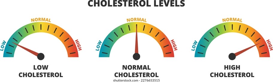 Vector infographic set of cholesterol levels – cholesterol meters with low, normal, and high level results. Indicator gauge with color scale and arrow showing cholesterol levels isolated on white.