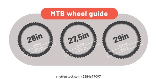 Vector infographic showing types of MTB wheel sizes. Isolated on white background