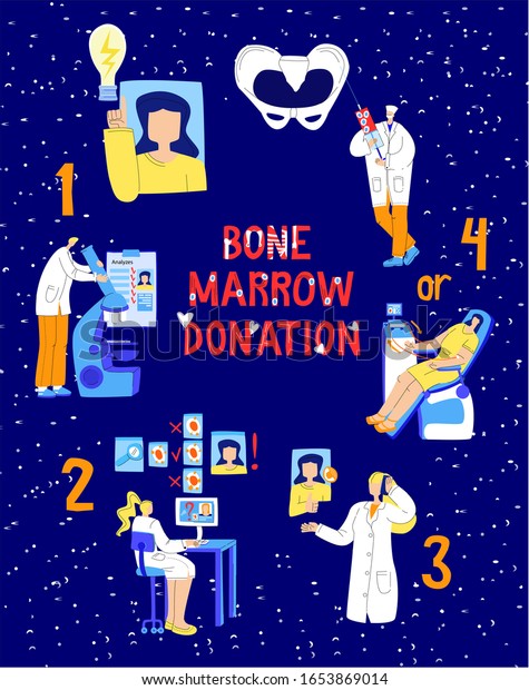 Vector infographic stages bone marrow\
donation, lettering. Read image clockwise. Bone from which pelvic\
cells are taken, donor can choose to donate peripheral blood. Web\
design, banners,\
postcards,etc