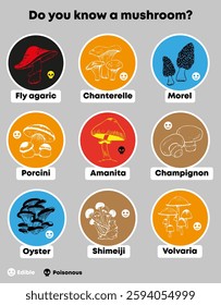 Vector infographic sticker set with various edible and poisonous mushroom isolated