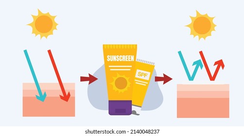 vector infographic of Sun protection,skin care concept,sunscreen, sunblock.before after using sunscreen product on skin layers.