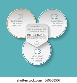 Vector infographic template, 3 options.