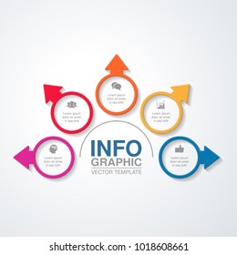 Vector infographic template for diagram, graph, presentation, chart, business concept with 5 options.
