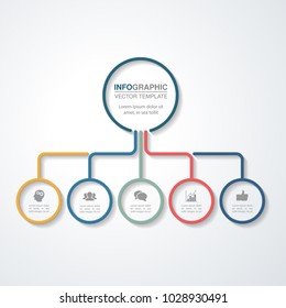 Vector infographic template for diagram, graph, presentation, chart, business concept with 5 options.