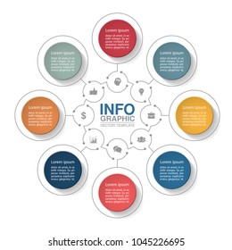 Vector infographic template for diagram, graph, presentation, chart, business concept with 8 options.