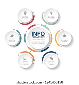 Vector infographic template for diagram, graph, presentation, chart, business concept with 6 options.