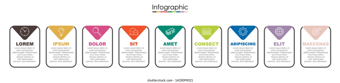 Vector infographic template with nine steps or options. Illustration presentation with thin line elements icons.  Business concept graphic design can be used for web, paper brochure, diagram, chart or