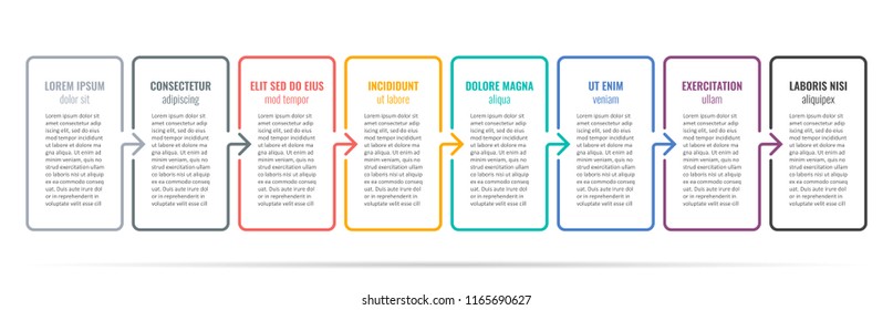 Vector Infographic thin line design with columns and 8 options or steps. Can be used for presentations banner, workflow layout, process diagram, flow chart, info graph