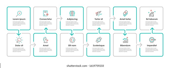 Vector Infographic thin line design with icons and 12 options or steps. Infographics for business concept.