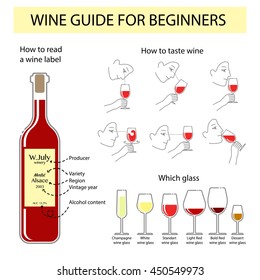 Vector infographic of wine tasting guide for beginners. Typography poster for wine shop or information poster for winery