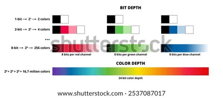 Vector infographics of bit and color depth. The maximum number of colors that can be displayed is 8 bits per channel, 24 bits per rgb image. 256 colors per channel, over 16 million colors in total.