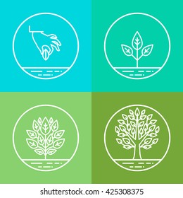 Vector Infographics Design Elements And Icons In Linear Style - Business Development And Growth Concepts - Growing Plant From Seed To Tree