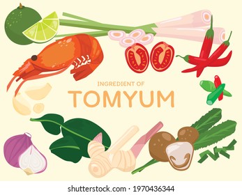 Vector Ingredient of Tomyum Thai Food