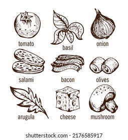 Vector Ingredients Series Basil Onion Tomato Mushroom Cheese Bacon Salami Rucola