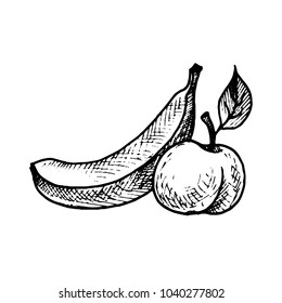 vector ink drawing banana and peach, hand drawn illustration, vintage fruits