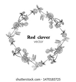 Vector ink drawing of frame with plant of Red clover with leaves, flowers, stems and buds. Black and white illustration isolated on white background.