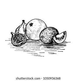 vector ink drawing fruits, figs, orange and kiwi, hand drawn vintage illustration