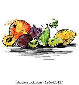vector ink drawing fruits with watercolor paint stains, hand drawn vintage illustration
