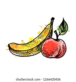 vector ink drawing fruits with watercolor paint stains, banana and peach, hand drawn illustration, vintage fruits