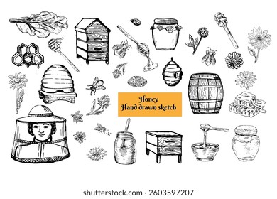 Vector ink drawing honey jar, pot, hiver, bee, barrel and chamomile flowers, clovers. Hand drawn honey comb and other design elements set. Sketch of beehive and dripper spoon.
