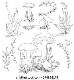 vector ink drawing mushrooms and plants, hand drawn natural illustration