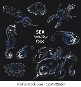 Vector ink drawn big collection with sea animals on black. Hand drawn sea food illustration in vintage style for print, paper, menu, logo and other natural design.