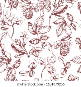 Vector ink drawn seamless herbal and raspberry pattern . Hand drawn engraved botanical illustration for print, card, wrapping and other natural vintage design.