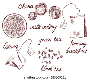 Vector ink drawn set with tea, tea bag, lemon slice and lettering. Hand drawn food collection of elements in vintage style. Brown on white. For print, menu and other food design.