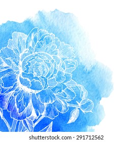Vector ink drawn white peony at blue watercolor background