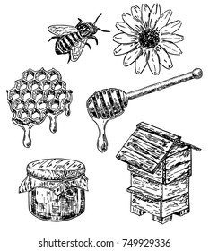 Vector ink hand drawn honey set. Honeycombs with honey, hive, bee, wooden stick, flower, honey jar. Sweet natural organic honey vintage sketch illustration.