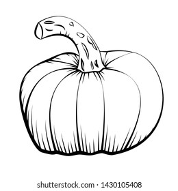 Vector ink hand drawn illustration of pumpkin. Linear sketch and engraving style. Black and white icon.