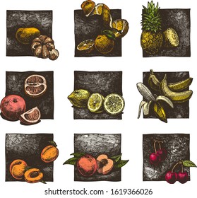 Vector ink hand drawn set of citrus and fruits. illustration of mandarin, orange, ananas,  grapefruit, lemon, banana, apricot, peach and cherry. 
