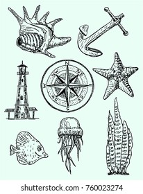 Vector ink hand drawn style marine set. Seashell, anchor, magnetic compass, starfish, sea fish, lighthouse jellyfish and algae. Vintage sketch illustration.