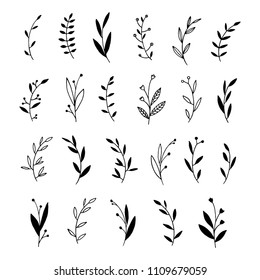 Vector ink hand painted branches springs twigs black silhouette flowers line art design