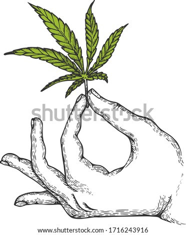Vector ink illustration with cannabis in the hand
