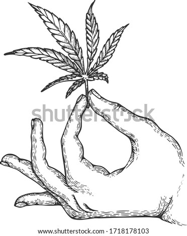 Vector ink illustration with cannabis in the hand