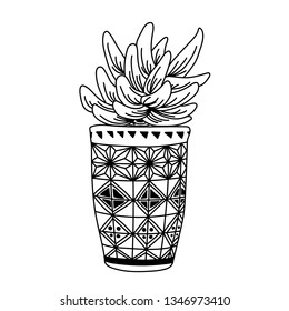Vector ink  illustration with home plants in pots. Hand drawn ink vector illustration