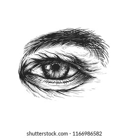 Vector ink illustration of human eye, old man or woman