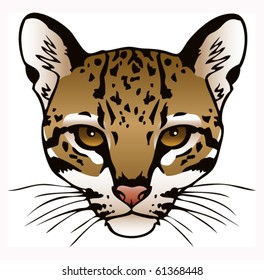 A vector ink illustration of an ocelot's face.