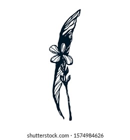 Vector ink illustration with one flowers and leaf. Creative hand drawn flowers for posters, invitations, wedding cards. Silhouette flowers for feminine backgrounds.