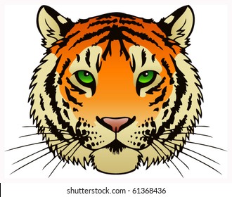 A vector ink illustration of a tiger's face.