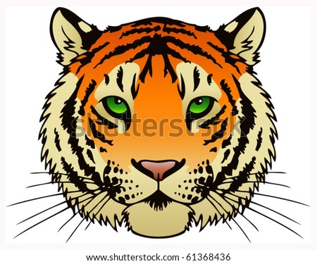 vector ink illustration tigers face stock vector royalty free
