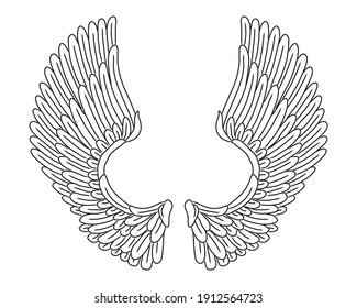 Vector ink line drawing of bird's wings illustration