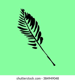Vector ink palm icon. Tropical palm tree on green background. Decoration element. Palm doodle in hand drawn style. Tropical leaf palm icon. Tourist holiday decoration element. Black tropical leaf.