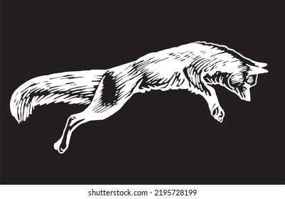 Vector ink pen drawing of fox jumping on black background ,graphics