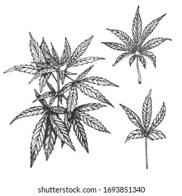 Vector ink set with cannabis