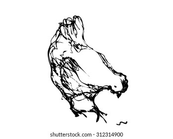 Vector ink sketch of the chicken