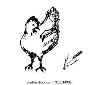 Vector ink sketch of the chicken